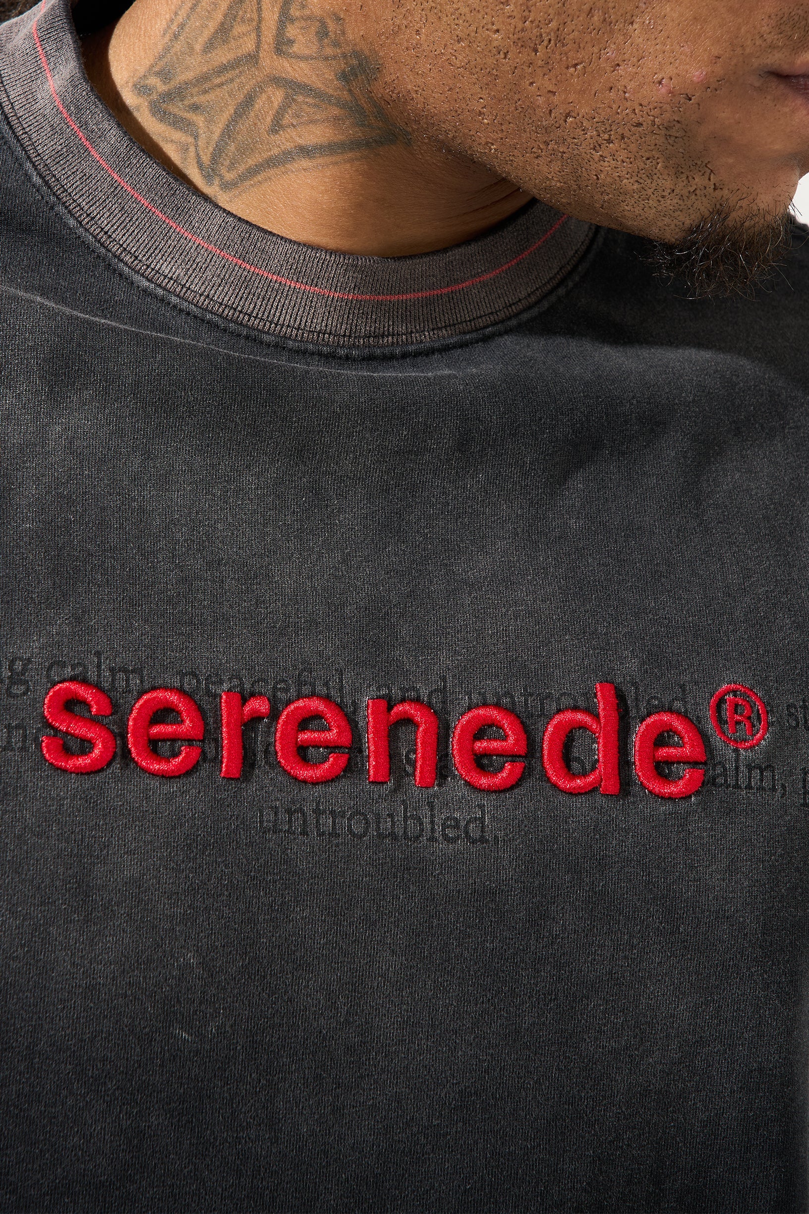 SKYLETTER Granite T-Shirt - Image 5